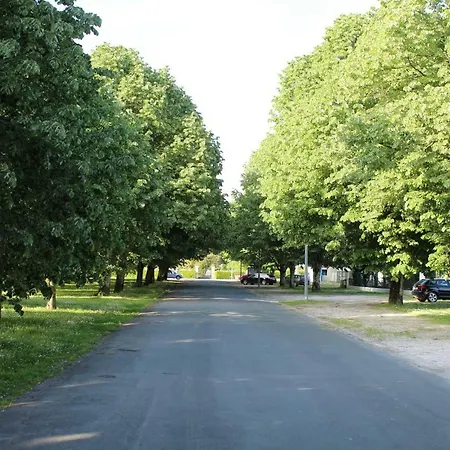 Les Tresors De Lizzie Maison d'hôtes