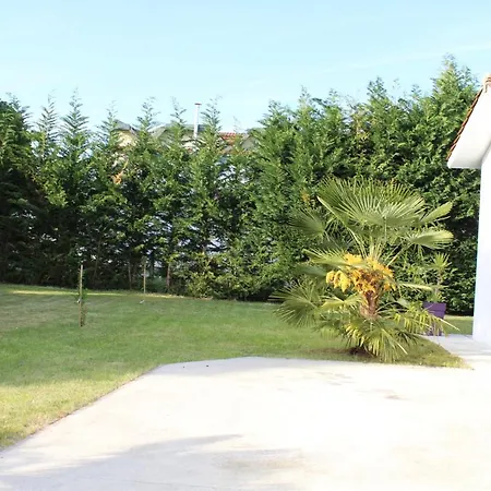 Les Tresors De Lizzie Coutras